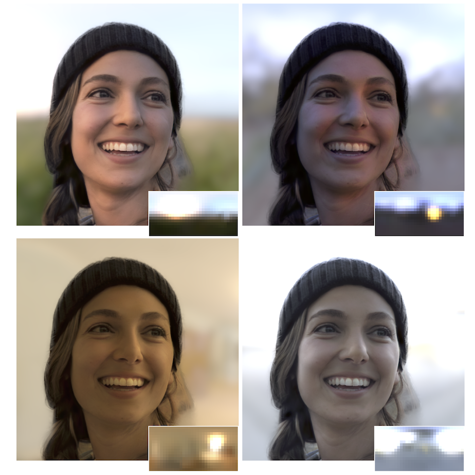 Single Image Portrait Relighting